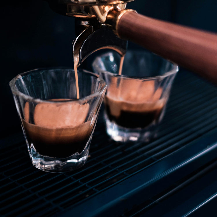 Food Service Water Filter Range