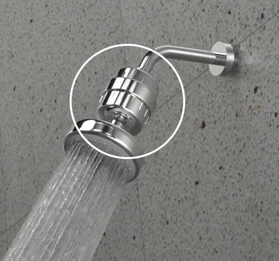 Puretec SF240 Shower Filter